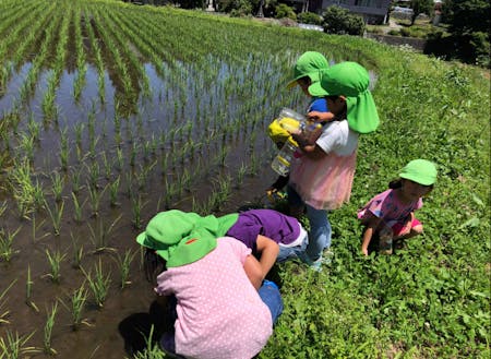五感を使って遊ぶ体験が豊富