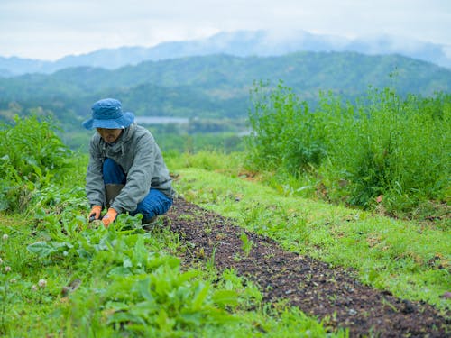 都市から近いけれど、自然にも恵まれた程よい農村生活ができる多気町