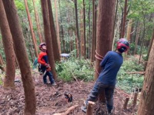 森の中での作業の様子