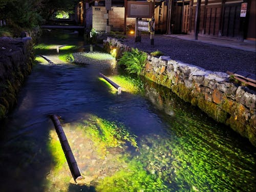 ライトアップの様子