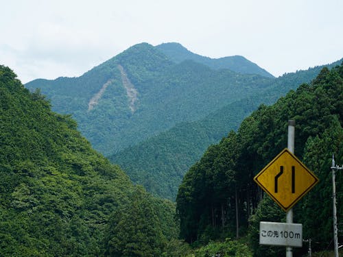 川上村は面積の95%が山林で占めており、中心を流れる吉野川・紀ノ川がとても印象的な村です。