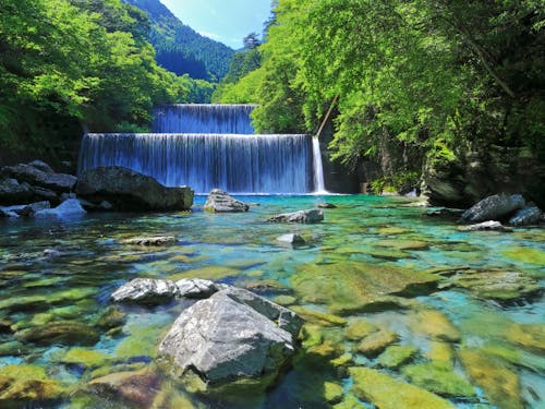 自然が豊かな地域で暮らそう!