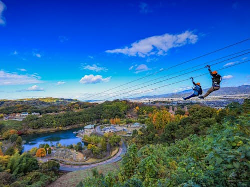 みんなで楽しめるアクティビティとべもりジップライン