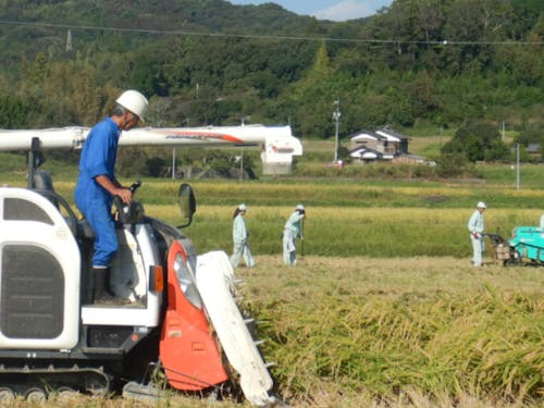 地元農工高校と協働する農業法人