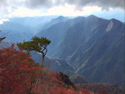 大台ヶ原　大蛇嵓からの遠望