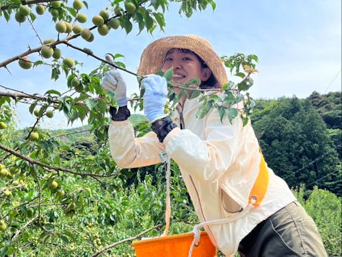 メンターの根本さん。空き家探しや利活用を専門にされています。