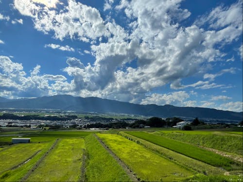 町を一望できる素敵なスポットへご案内いたします