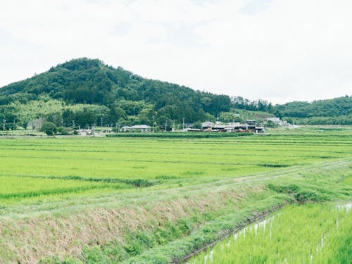 涼しい気候が特徴の飯舘村。高原の気持ちの良い風が吹きます