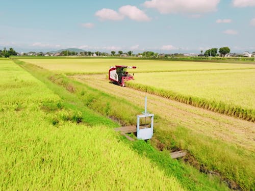 ファームかなやのお米の収穫の様子(実行委員会のPR動画より)