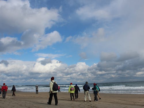 トレイルの様子