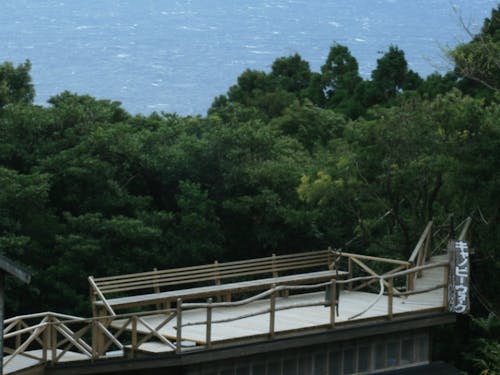 空中体験のキャノピーウォーク