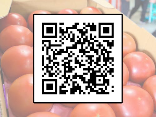 ツアーへのお申し込みは写真のQRコードからお願いします