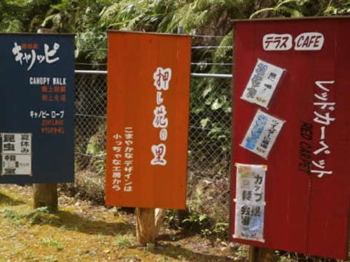 いろいろできるのだ