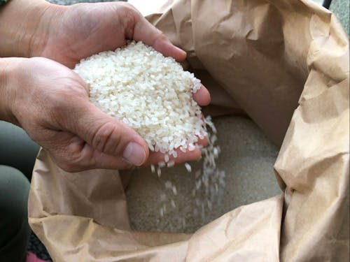 精米したてのお米!