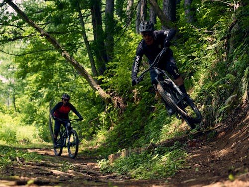 マウンテンバイクで森林を駆け巡る