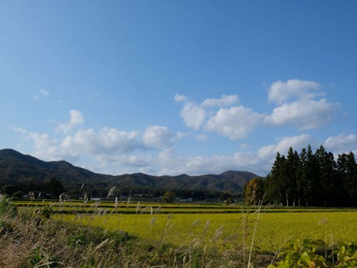 秋の湯本周辺の風景