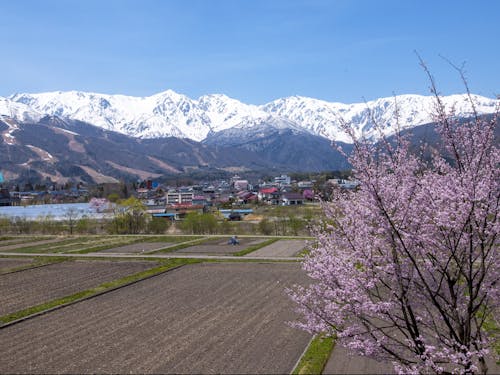 絶景に溢れる白馬村の山々