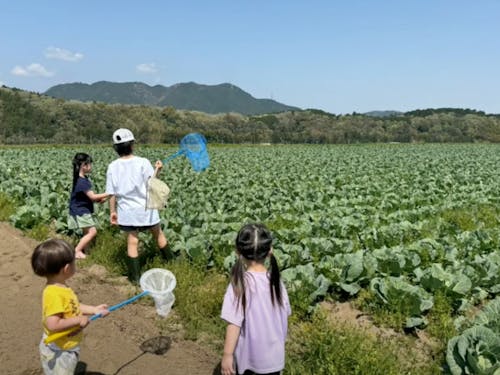 農村体験プログラムの企画コーディネートもお願いします