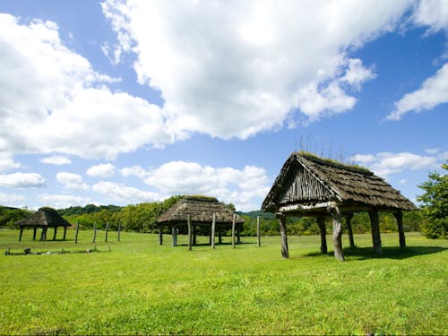 二戸エリア_一戸町の御所野縄文公園