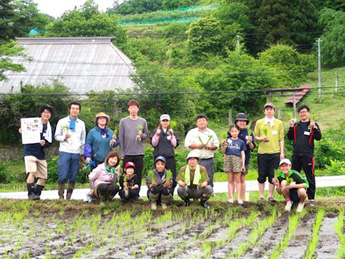 田植えイベントの様子