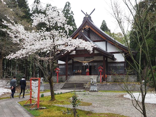 大宮子易両神社の本殿です!