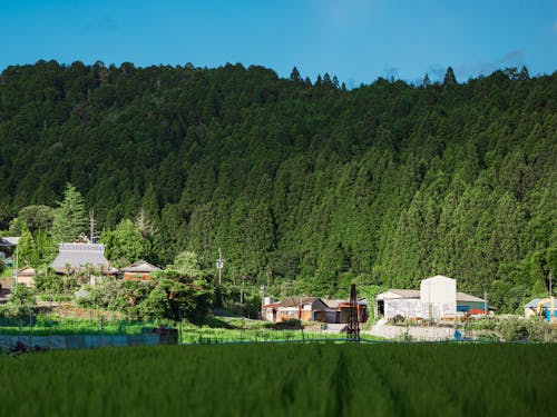自然豊かな紀美野町