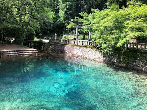 日本名水百選 別府弁天池