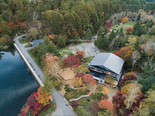 紅葉に囲まれる秋のTINY GARDEN(宿泊先)