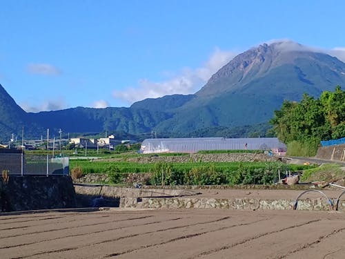 2024年8月近くから見える雲仙普賢岳と眉山(島原市)