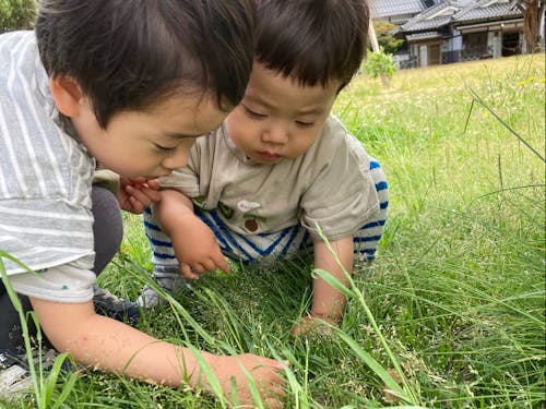 身近に手入れされた自然があるので、子どもを安心して遊ばせることができる。