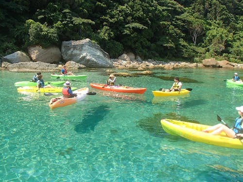 たけのジオカヌー