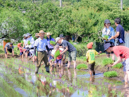Part.1 : 酒米の田植え体験