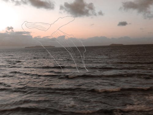 aiです!毎日汽車で高校に通いながら、部活と勉強の両立を頑張っています。写真は車窓の景色で、一番綺麗だと思っている夕方の風景に、鯨になって泳ぐ自分を描き込んでみました。