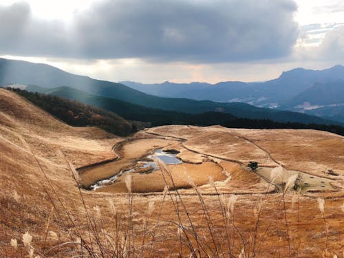 ススキはもちろん、夜の星空も圧巻の曽爾高原