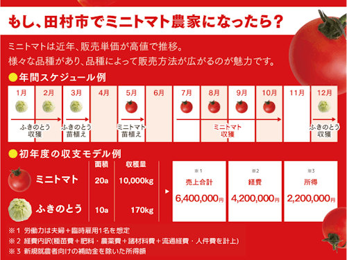 <ミニトマトでの就農モデル例>