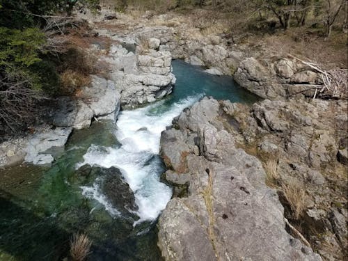 秋川橋周辺の視察