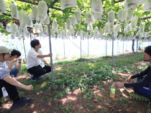 昨年のプオグラムの様子