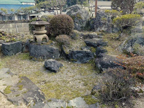 手入れをすればお庭を日本庭園風にできるかも。