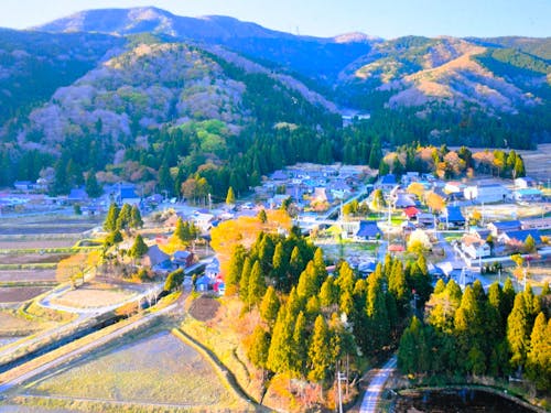 高島市マキノ町在原の全景