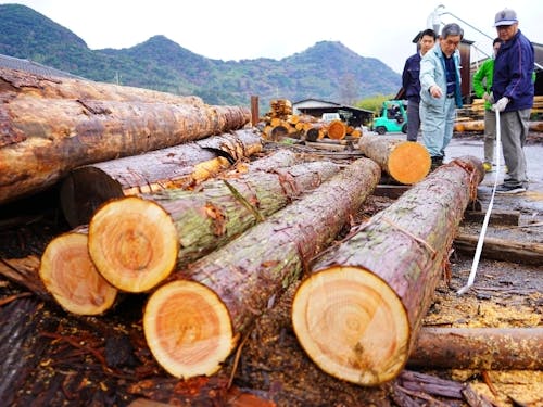 原木からどう製材するかで価値が決まる