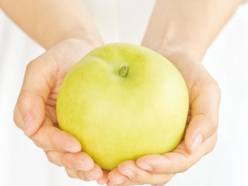 愛情を注がれた二十世紀梨