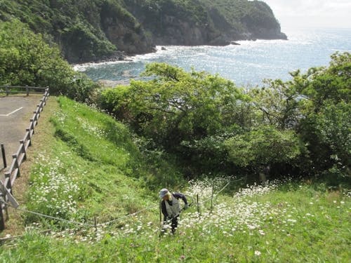 キャンプ場の草刈り 斜面の草刈りは重労働