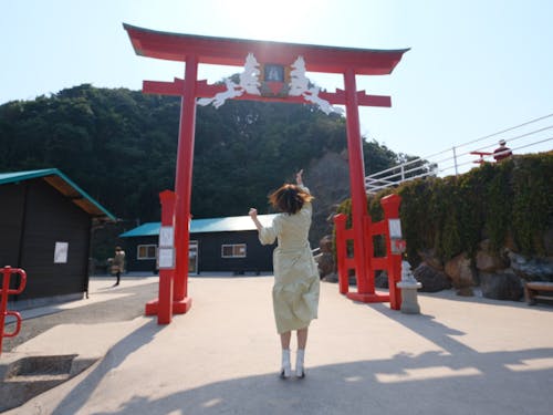 高さが約6mの大鳥居に向かってお賽銭を投げます