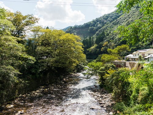市内の中心部から車を少し走らせるとこんな大自然が広がります!