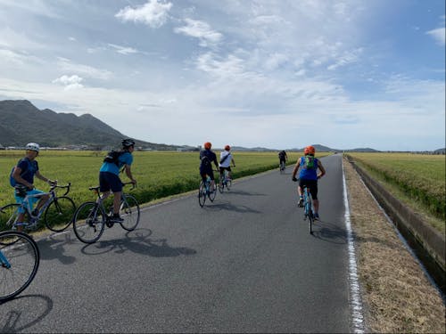 有数の穀倉地帯、名田島の田園をサイクリング!
