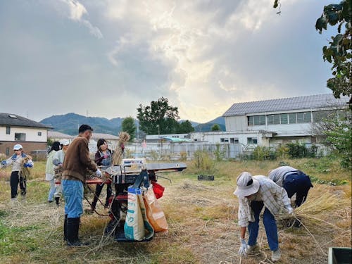 「ヤマニファーミング」での農業体験の様子