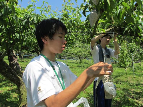 実際に地域に出て地元産業について学ぶ。