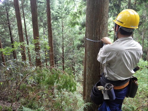 松阪市の69%を占める森林の調査風景