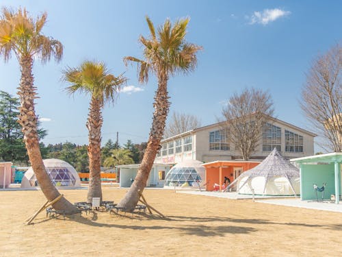 TACO GLAMPはグランピングとオートキャンプ場が併設されたレジャー施設です!