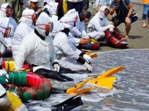 海女さんのまつり『しろんご祭り』のある島です